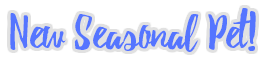 newseasonalpet-winter2025.png