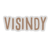 visindybanner.png