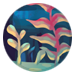 BG-vaer-reef-adv-icon.png