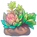 196-JeVeDEGorO-bundle-of-succulents.png