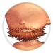 2109-kT2xJoqyP6-brushed-beard-red.png