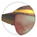 2533-7WBnXl7a4M-bearnards-gold-ribbon-sun-hat.png