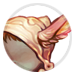 3071-dfWicRneIP-nigels-ruby-ear-helmet.png