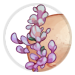 3783-JxjhVeHwhq-lavender-face-flowers.png