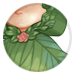 3790-GuUmrkqWdD-lily-pad-capelet.png
