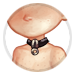 4071-iIUjIg5Qyo-black-pendant-collar.png