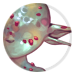 4195-KwKnfVcSm9-gleaming-amanita-dimmed-skin.png