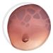 4582-mHCzq7kg3J-moiras-skin.png