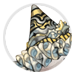 4635-0B8Q4vlFey-vespid-ringleader-ruffled-hat.png
