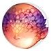 4794-YhHNfKtavj-amethyst-dragon-skin.png