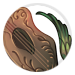 4828-Msmpq1cP9Y-botanical-balladeer-pipa.png