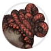 4834-vphjvUg3PW-botanical-balladeer-coiled-braids.png