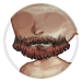 4839-nOTwusFDMj-botanical-balladeer-beard.png