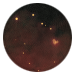 4845-1J8ASFVhPh-botanical-balladeer-darkness.png