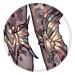 4922-uWIqqvDUpy-millefiori-papillon-knee-wraps.png