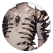 4947-fCIYLxVfNe-crepuscular-nightcrawler-skeleton.png