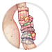 4967-IlaRCl9O6v-fairytale-reverie-armwarmers.png