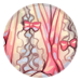 4970-edJVR9361P-fairytale-reverie-pants.png